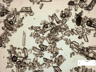 Male cat urinary outlet crystals